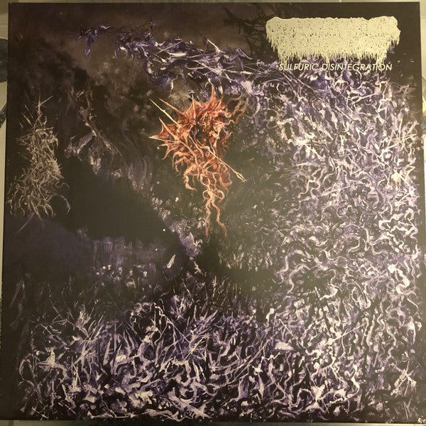 Of Feather & Bone – Sulfuric Disintegration 🇺🇸
