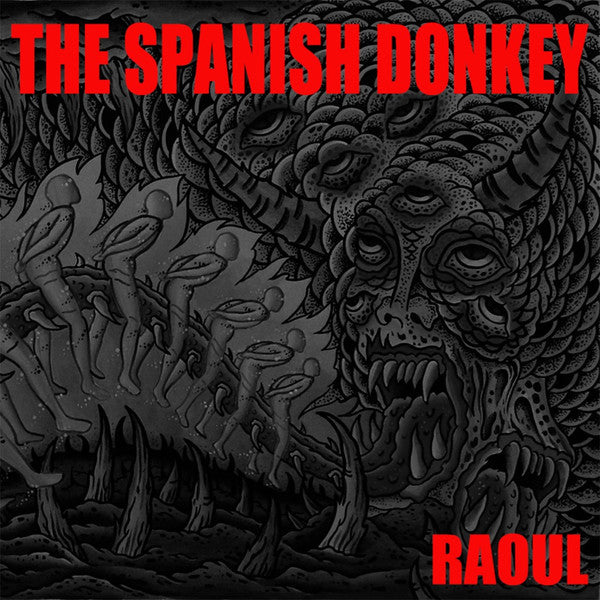 Spanish Donkey – Raoul 🇺🇸