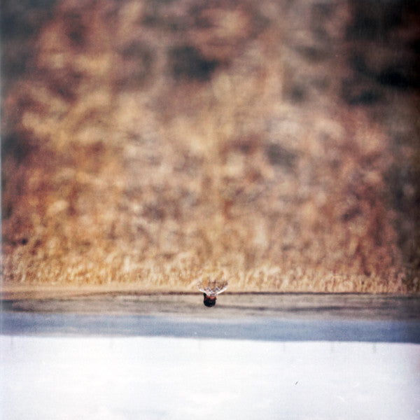 Jim O'rourke – Hands that Bind OST 🇺🇸