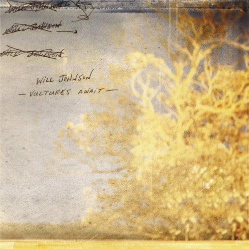 Will Johnson – Vultures Await (2LP/GATEFOLD) 🇺🇸