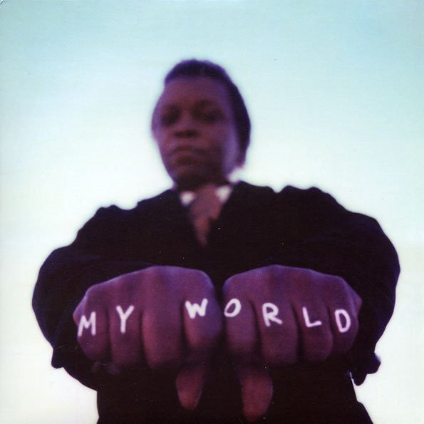 Lee & the Expressions Fields – My World 🇺🇸