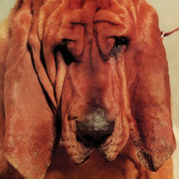 Ty Segall – Goodbye Bread 🇺🇸