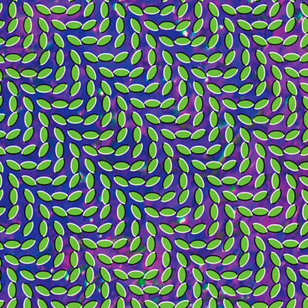 Animal Collective – Merriweather Post Pavilion 🇺🇸