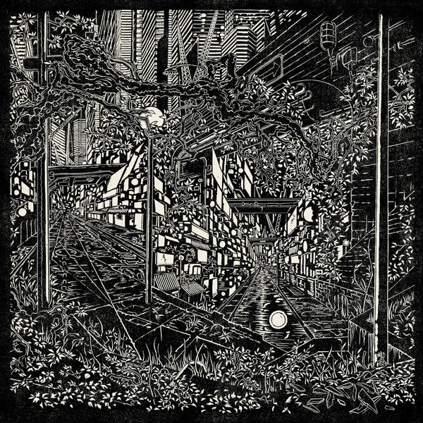 Jake Long – City Swamp 🇺🇸