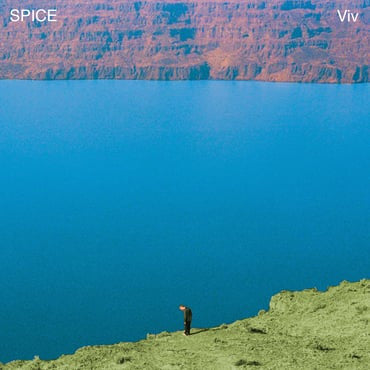 Spice – Viv (Orange & Mint Vinyl) 🇺🇸