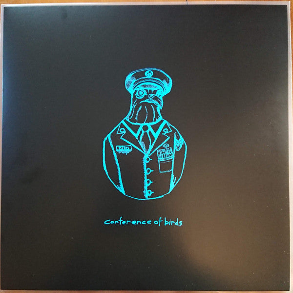 Avey Tare – Conference of Birds / Birds in Disguise (DL Card) 🇺🇸