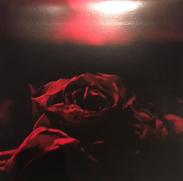 Paper Kites – Roses 🇺🇸
