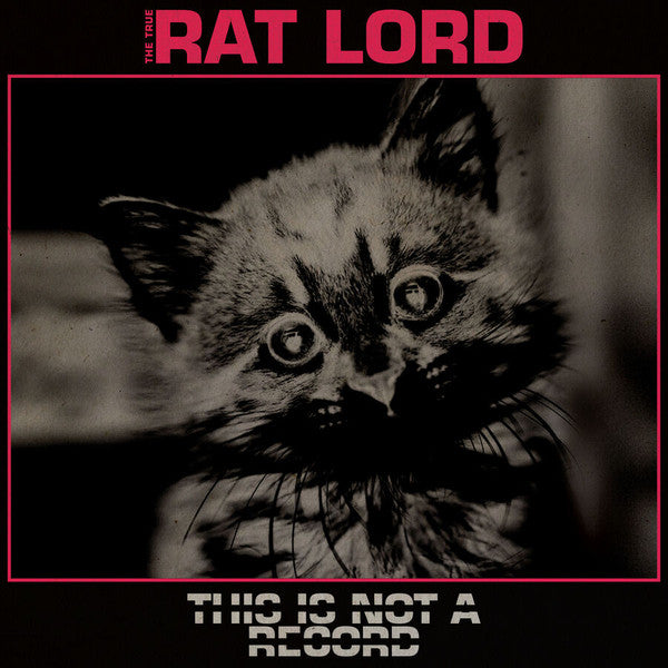 Rat Lord – This is Not a Record 🇺🇸