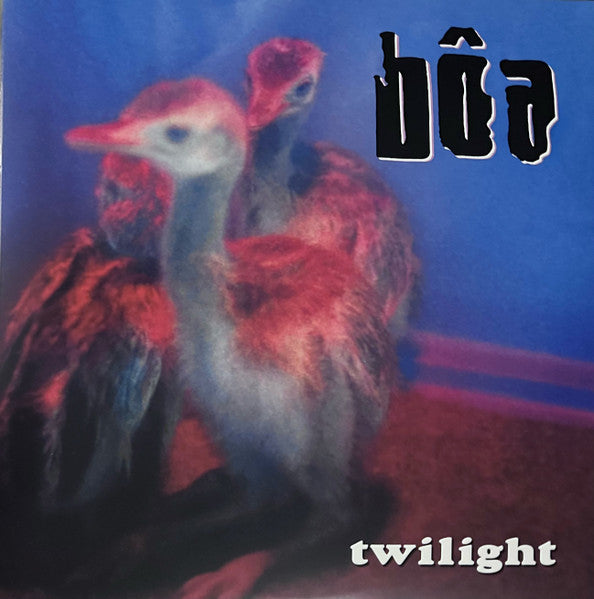 Boa – Twilight 🇺🇸