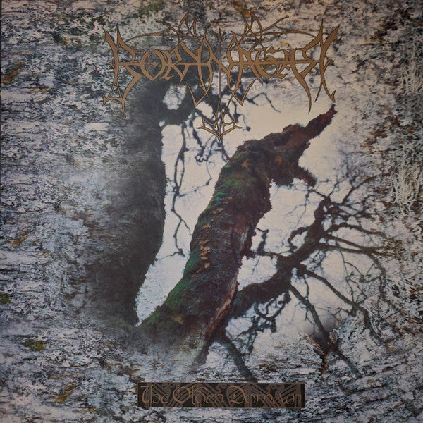 Borknagar – Olden Domain (Red Vinyl/Deluxe) 🇺🇸