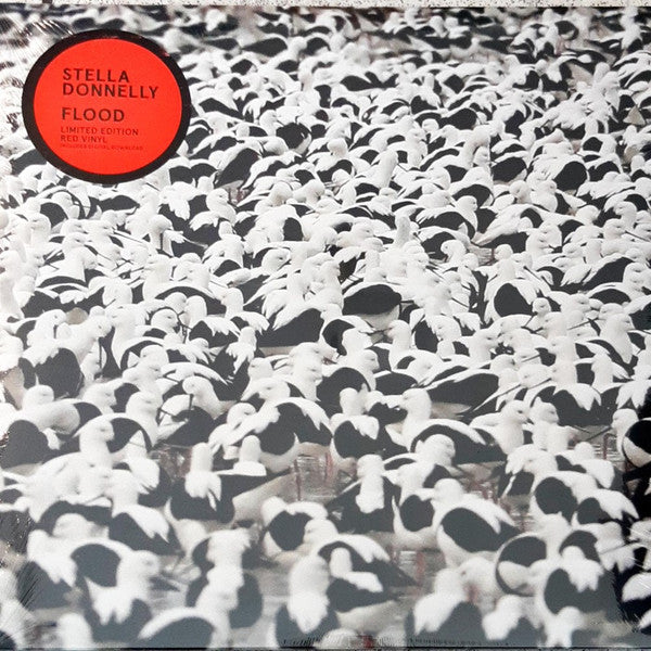 Stella Donnelly – Flood (Opaque Red Vinyl) 🇺🇸