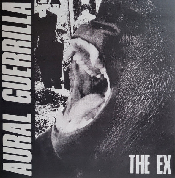 Ex – Aural Guerrilla 🇺🇸