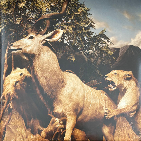 Interpol – Our Love to Admire (2LP) 🇺🇸
