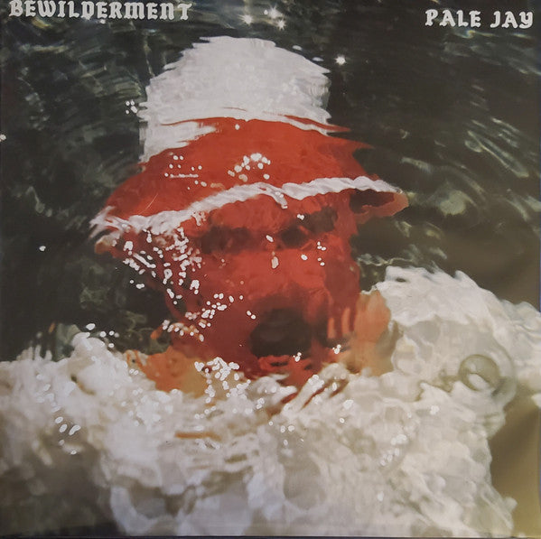 Pale Jay – Bewilderment 🇺🇸