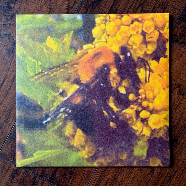 Broncho – Natural Pleasure 🇺🇸