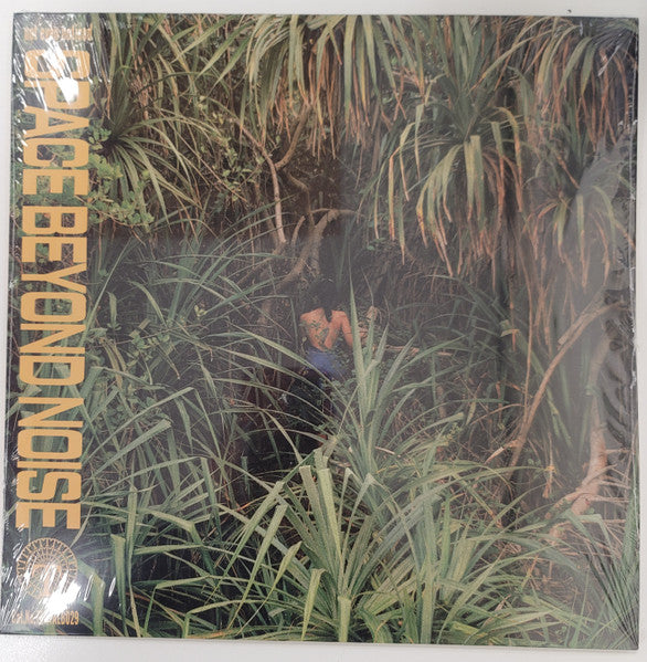 Not Even Noticed – Space Beyond Noise 🇺🇸