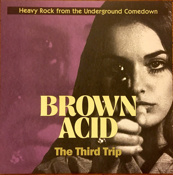 Various Artists – Brown Acid: The Third Trip 🇺🇸
