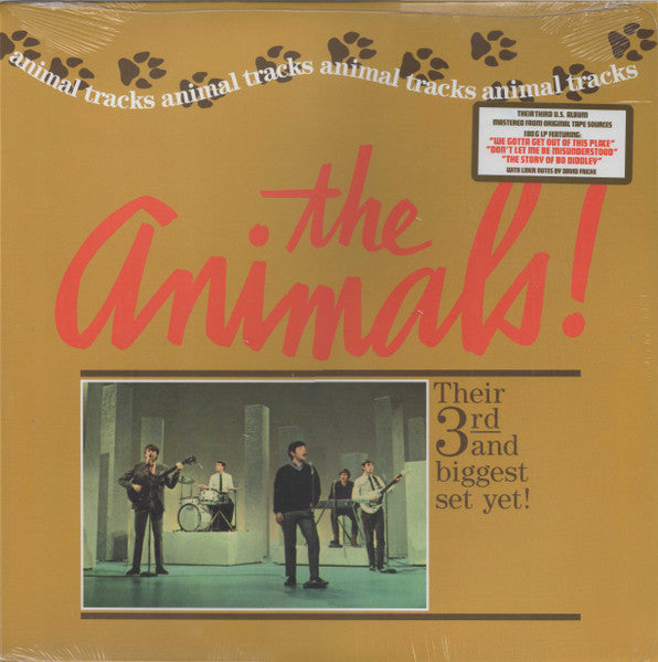 Animals – Animal Tracks 🇺🇸