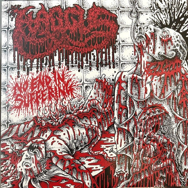 Haggus – No End in Suffering 🇺🇸