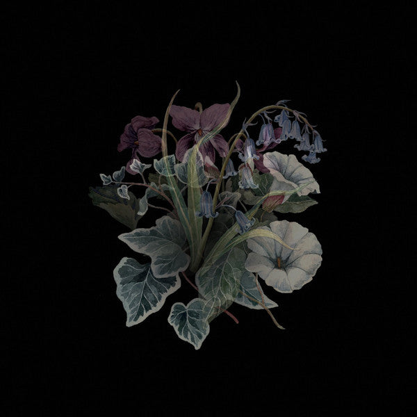 Nhor – Wildflowers 🇺🇸