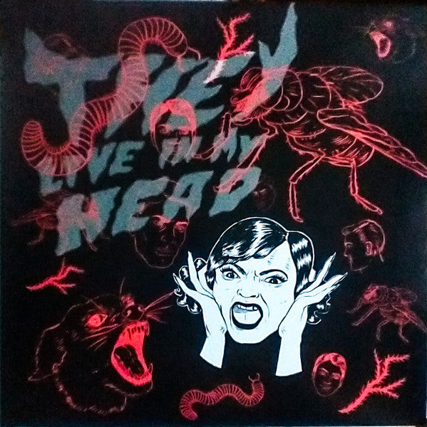 Bush Tetras – They Live in My Head 🇺🇸