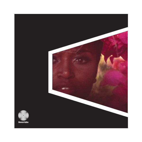 Delfonics & Adrian Younge – Adrian Younge Presents: the Delfonics 🇺🇸
