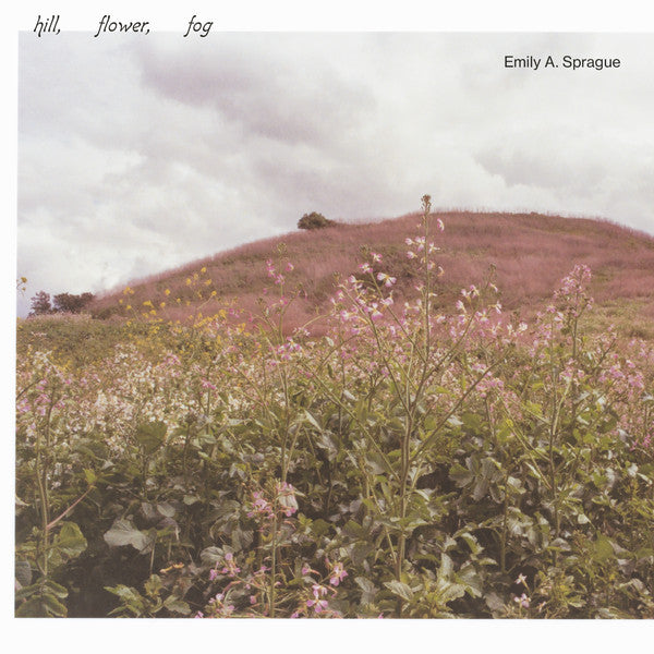 Emily a. Sprague – Hill, Flower, Fog 🇺🇸