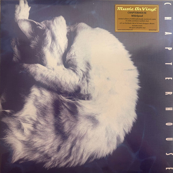 Chapterhouse – Whirlpool (White & Black Marbled Vinyl/180G/Numbered) 🇺🇸