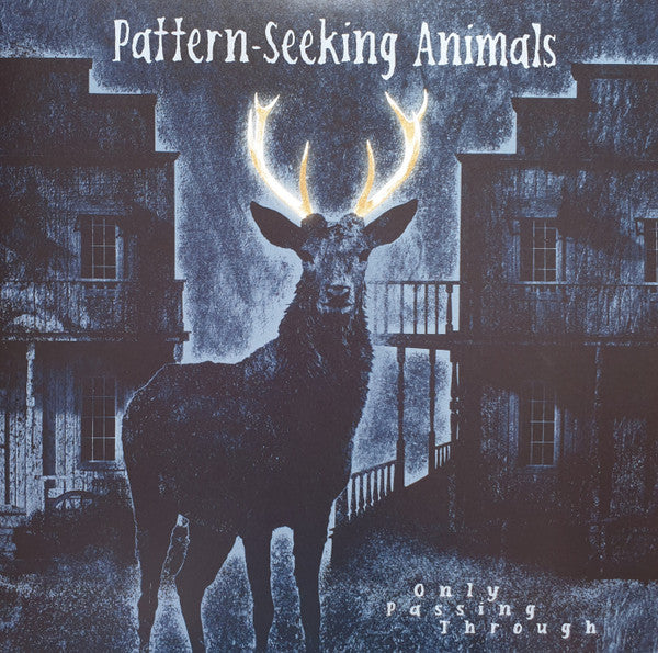 Pattern-seeking Animals – Only Passing Through (2LP/CD) 🇺🇸