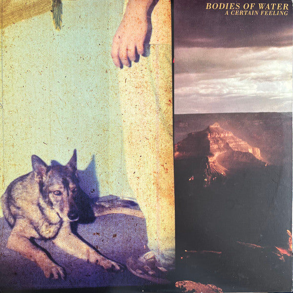 Bodies of Water – Certain Feeling 🇺🇸