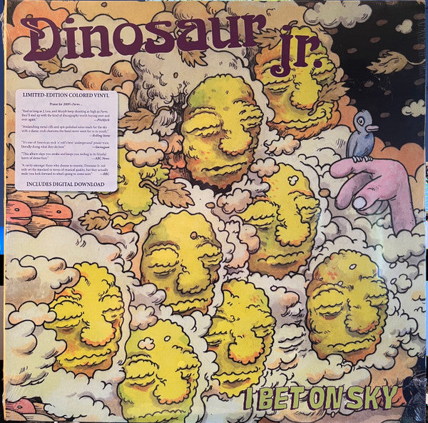 Dinosaur Jr – I Bet on Sky 🇺🇸