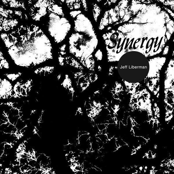 Jeffery Liberman – Synergy 🇺🇸