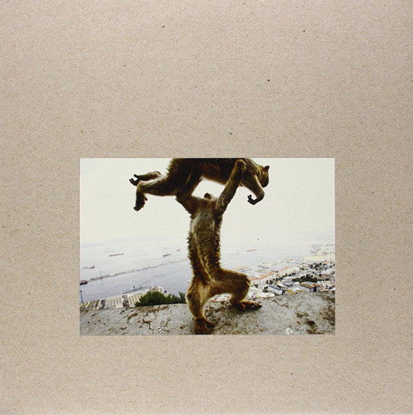 Shellac – Dude Incredible 🇺🇸