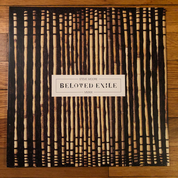 Steve Moore – Beloved Exile 🇺🇸