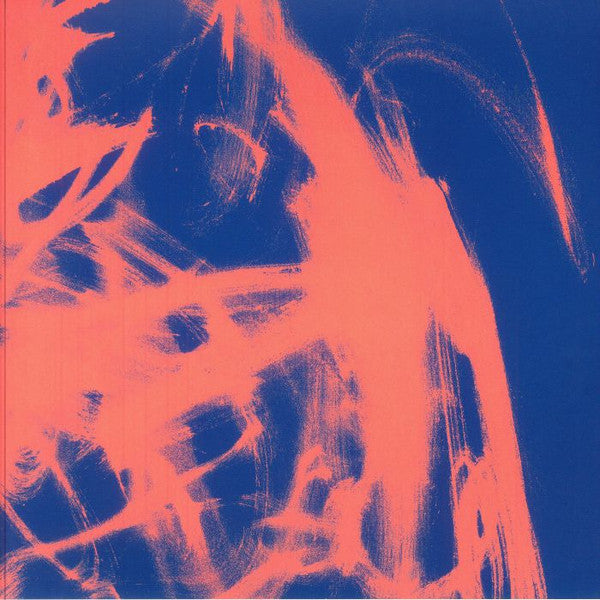 Rival Consoles – Landscape from Memory (Translucent Vinyl/2LP) (I) 🇺🇸