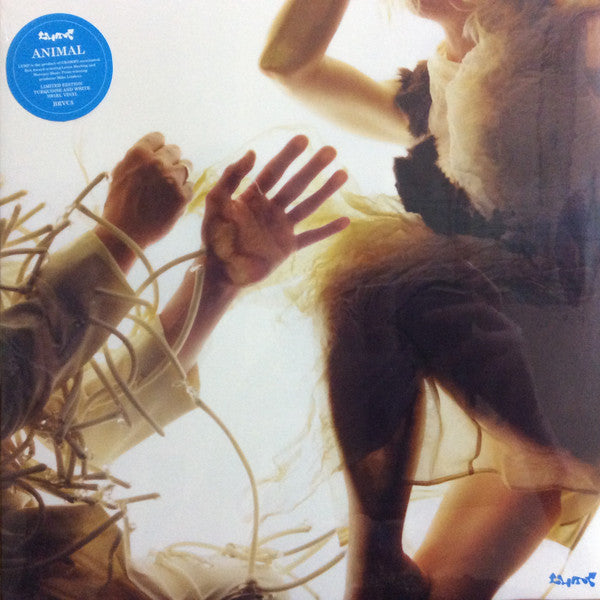 Lump Feat. Laura Marling & Mike Lindsay – Animal (Turquoise & White Swirl Vinyl) 🇺🇸