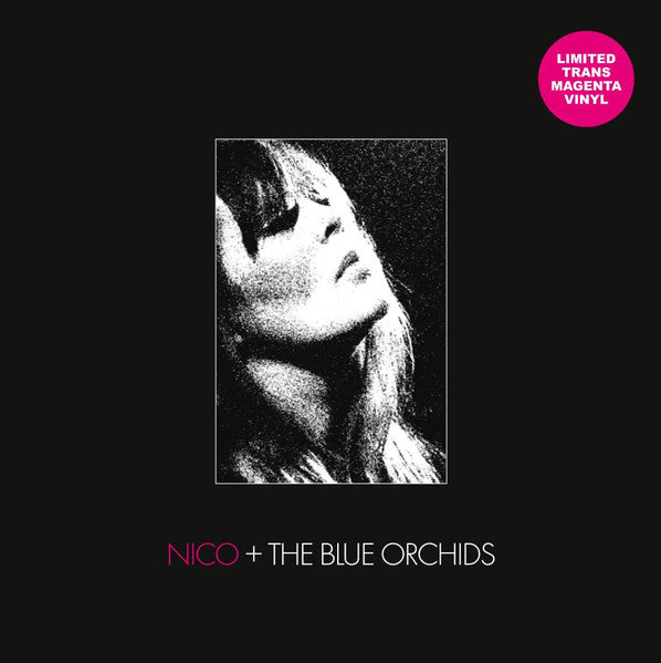 Nico + the Blue Orchids – Live & in Session 1982 🇺🇸