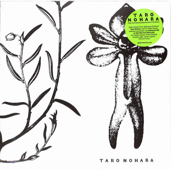 Taro Nohara – Poly-time Soundscapes / Forest of the Shrine 🇺🇸