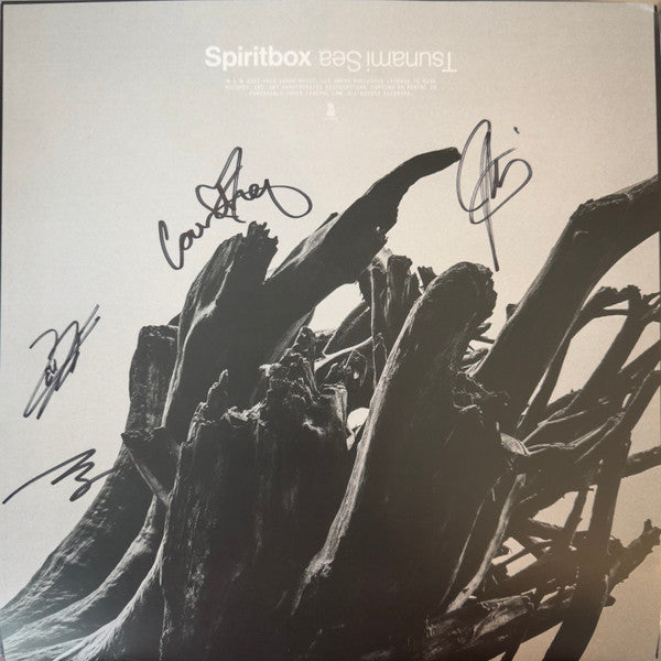 Spiritbox – Tsunami Sea 🇺🇸