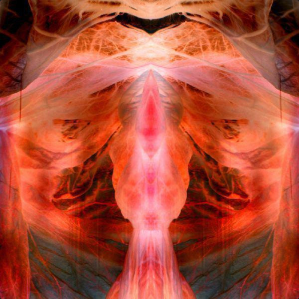 Paul Schutze – Annihilating Angel; or, the Surface of the World 🇺🇸