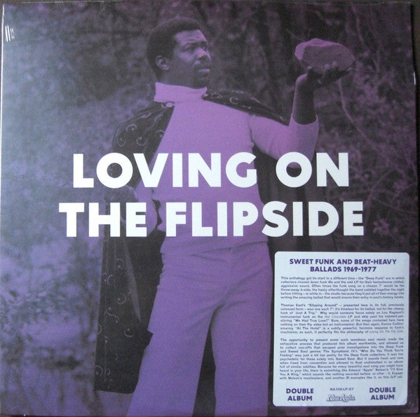 Various Artists – Loving on the Flipside (2LP) 🇺🇸
