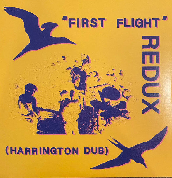 Chris Forsyth – First Flight Redux (Harrington Dub) 🇺🇸