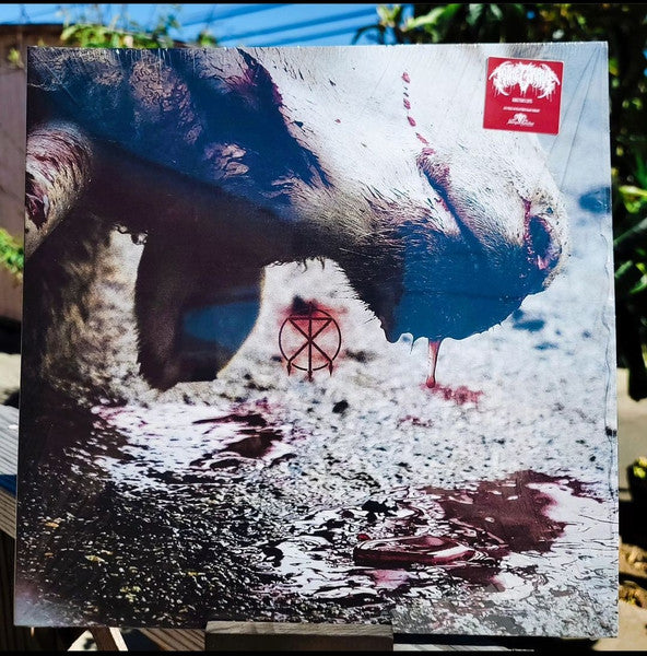 To the Grave – Director's Cuts (Blood Splatter Vinyl) (I) 🇺🇸