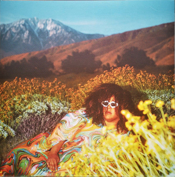 Brittany Howard – What Now 🇺🇸