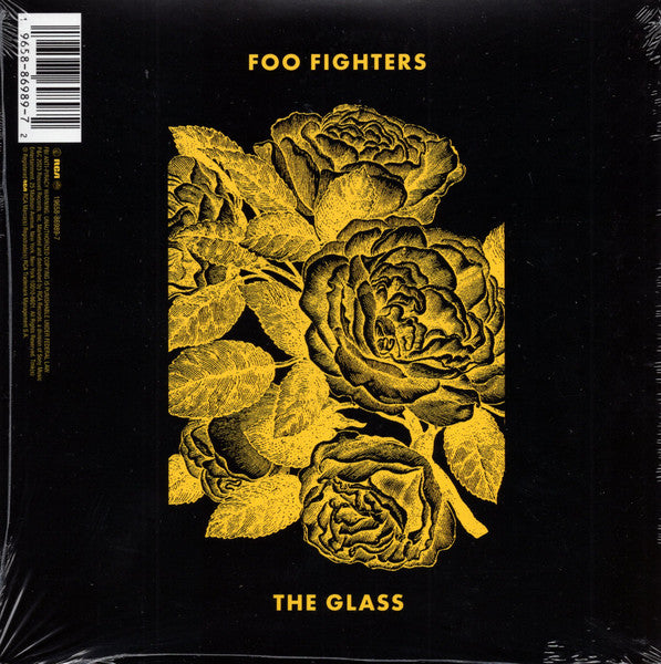 H.e.r. & Foo Fighters – Glass (I) 🇺🇸