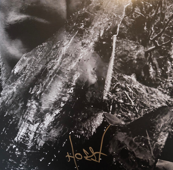 Taake – En Skog Av Nidstang (Clear Vinyl) 🇺🇸