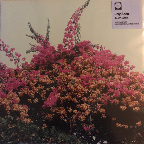 Jay Som – Turn Into 🇺🇸
