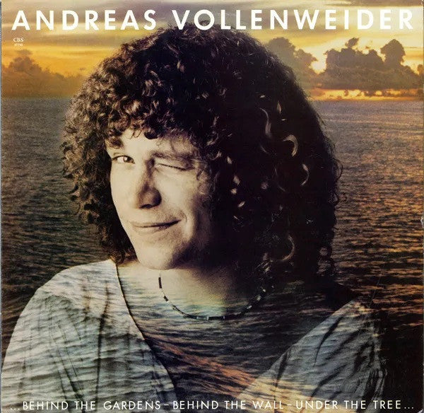 Andreas Vollenweider – Behind the Gardens - Behind the Wall - Under the Tree 🇺🇸