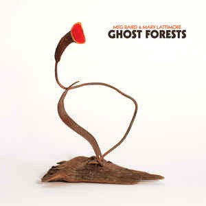 Meg & Mary Lattimore Baird – Ghost Forests (Green Vinyl/DL Card) 🇺🇸