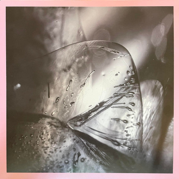 Loscil – Clara 🇺🇸